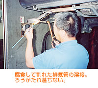 �}�O�i�R�RF�@���H���Ċ��ꂽ�r�C�ǂ̗n�ځB�낤�����ꗎ���Ȃ��B