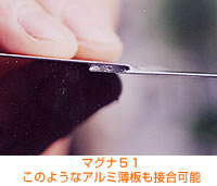 �}�O�i�T�P�F���̂悤�ȃA���~�����ڍ��\